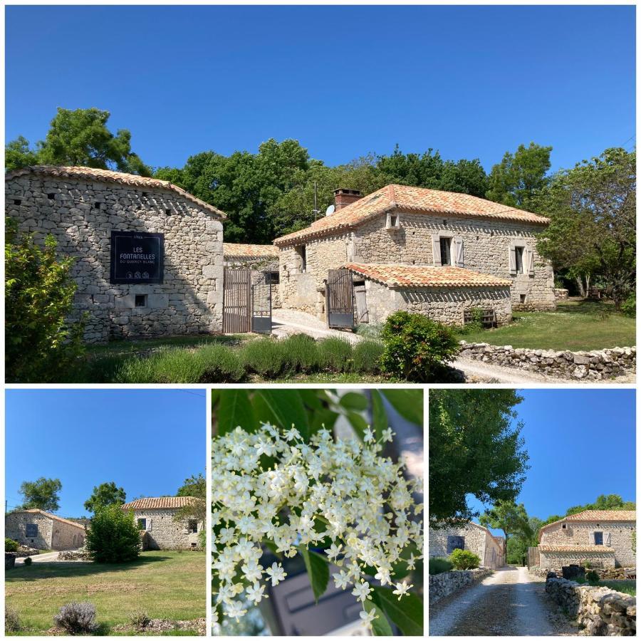 Les Fontanelles Du Quercy Blanc Villa Montcuq Eksteriør bilde