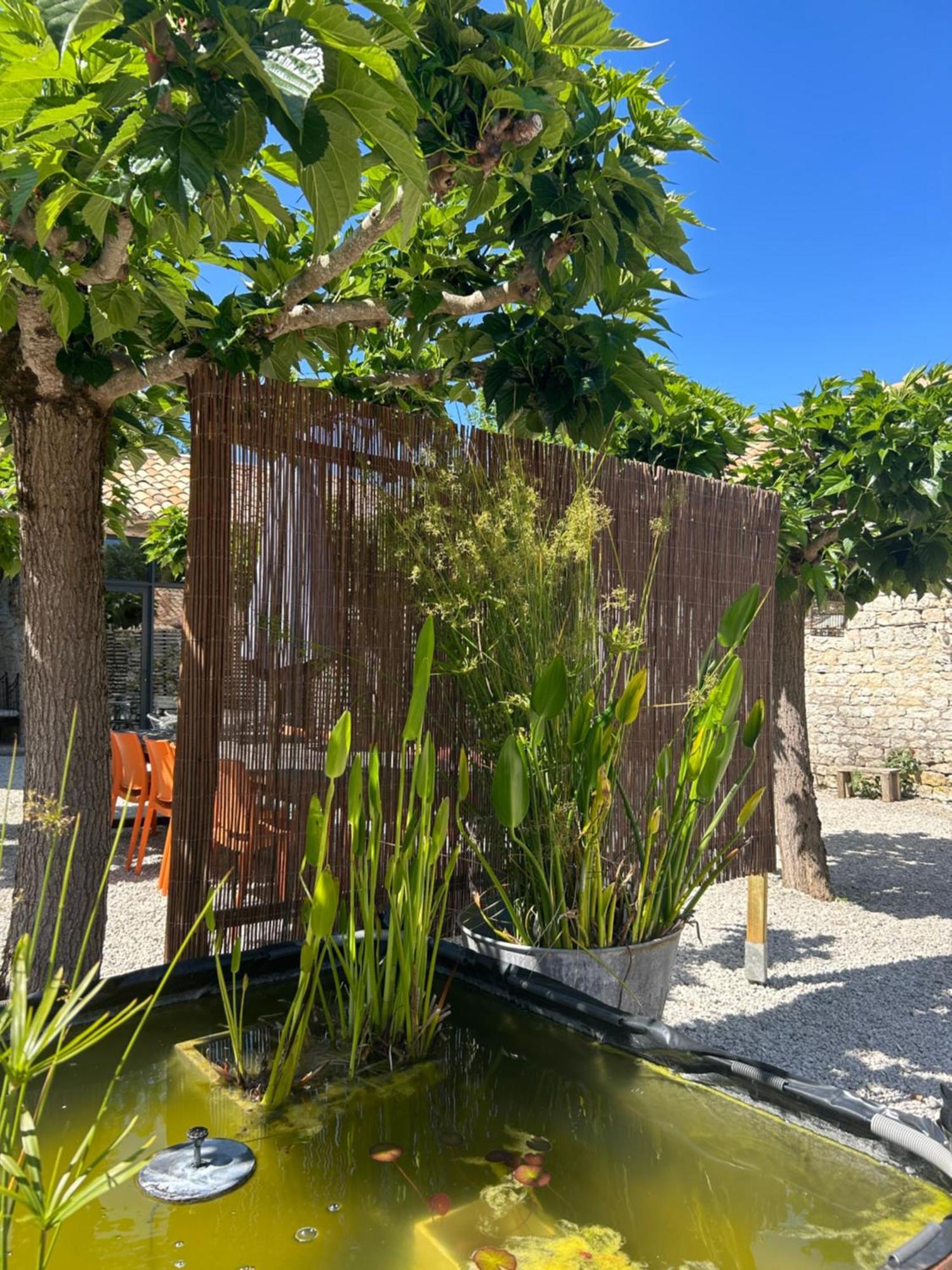 Les Fontanelles Du Quercy Blanc Villa Montcuq Eksteriør bilde